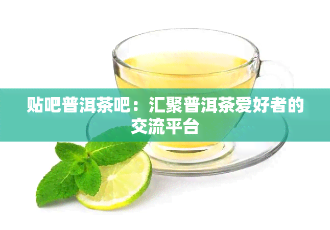 贴吧普洱茶吧：汇聚普洱茶爱好者的交流平台