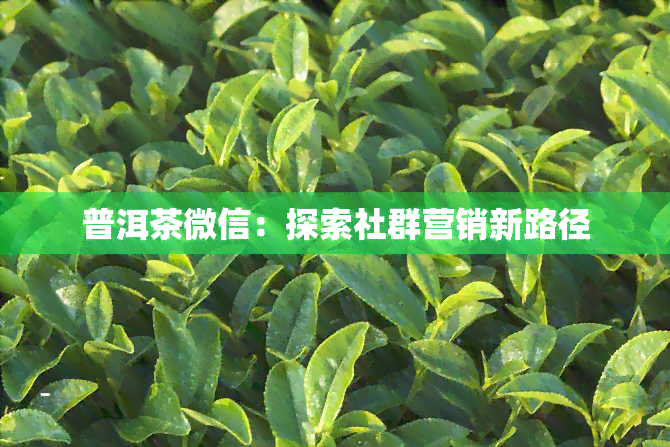 普洱茶微信：探索社群营销新路径