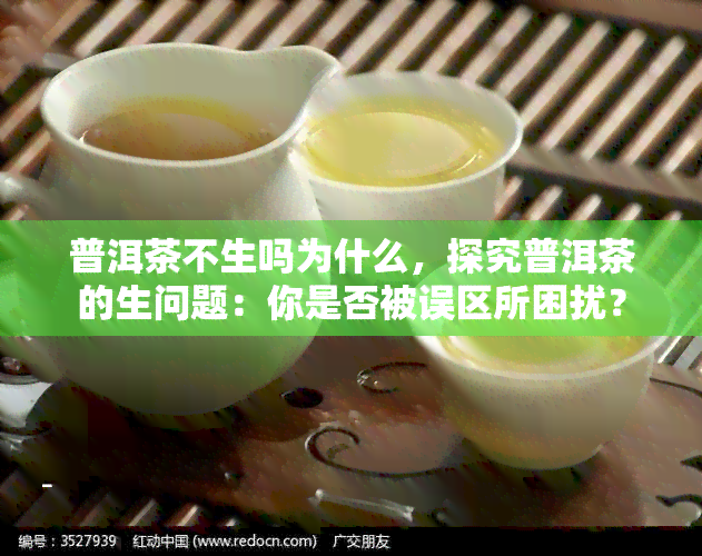 普洱茶不生吗为什么，探究普洱茶的生问题：你是否被误区所困扰？