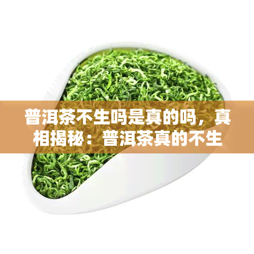 普洱茶不生吗是真的吗，真相揭秘：普洱茶真的不生吗？