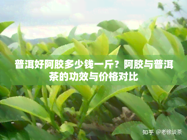 普洱好阿胶多少钱一斤？阿胶与普洱茶的功效与价格对比