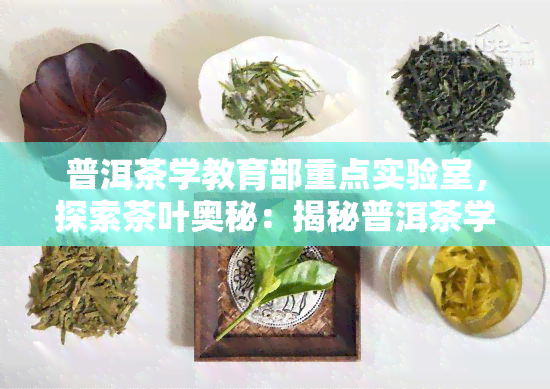 普洱茶学教育部重点实验室，探索茶叶奥秘：揭秘普洱茶学教育部重点实验室