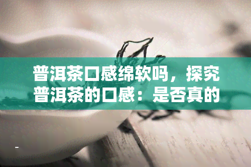 普洱茶口感绵软吗，探究普洱茶的口感：是否真的绵软？