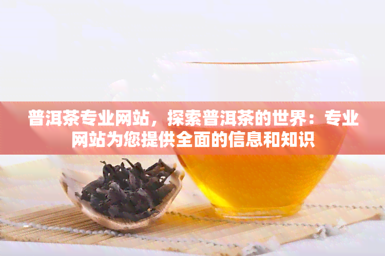 普洱茶专业网站，探索普洱茶的世界：专业网站为您提供全面的信息和知识