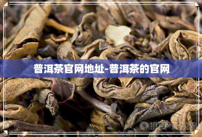 普洱茶官网地址-普洱茶的官网