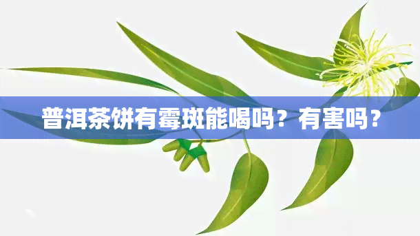 普洱茶饼有霉斑能喝吗？有害吗？