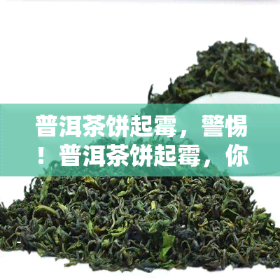 普洱茶饼起霉，警惕！普洱茶饼起霉，你应该如何处理？