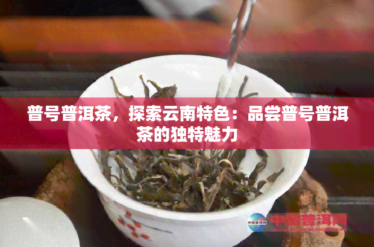 普号普洱茶，探索云南特色：品尝普号普洱茶的独特魅力