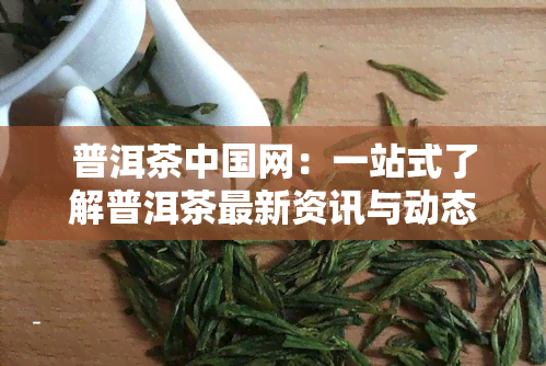 普洱茶中国网：一站式了解普洱茶最新资讯与动态