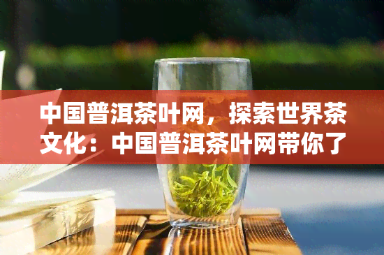 中国普洱茶叶网，探索世界茶文化：中国普洱茶叶网带你了解中国传统名茶