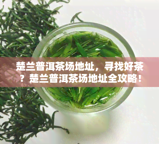 楚兰普洱茶场地址，寻找好茶？楚兰普洱茶场地址全攻略！