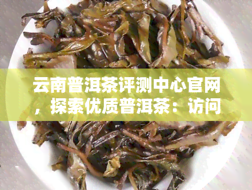 云南普洱茶评测中心官网，探索优质普洱茶：访问云南普洱茶评测中心官网