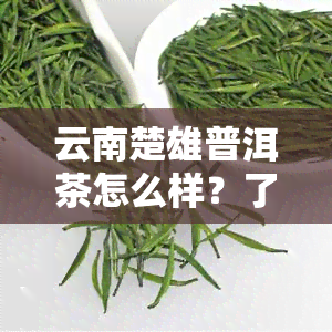 云南楚雄普洱茶怎么样？了解楚雄特色茶叶与购物店