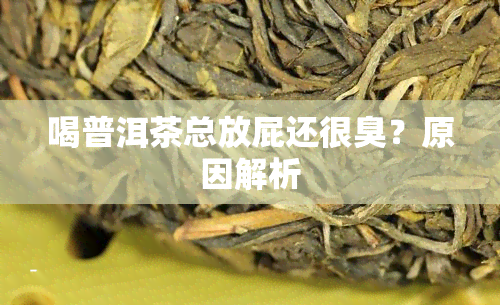 喝普洱茶总放屁还很臭？原因解析