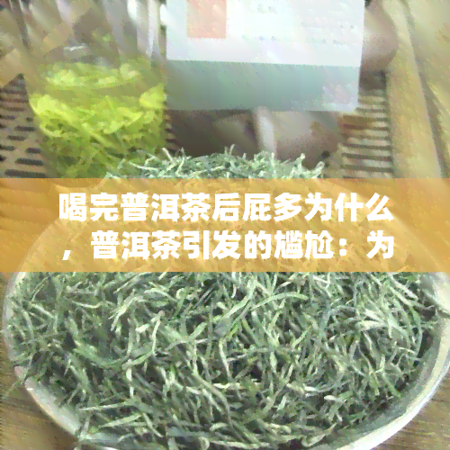 喝完普洱茶后屁多为什么，普洱茶引发的尴尬：为何喝完后屁多？