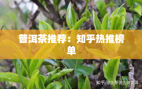 普洱茶推荐：知乎热推榜单