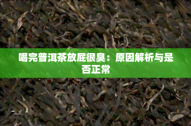 喝完普洱茶放屁很臭：原因解析与是否正常