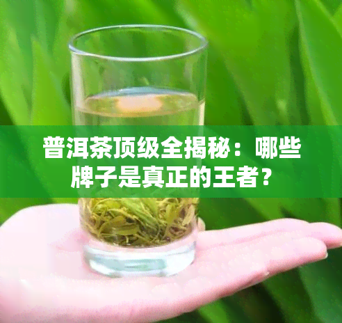 普洱茶顶级全揭秘：哪些牌子是真正的王者？