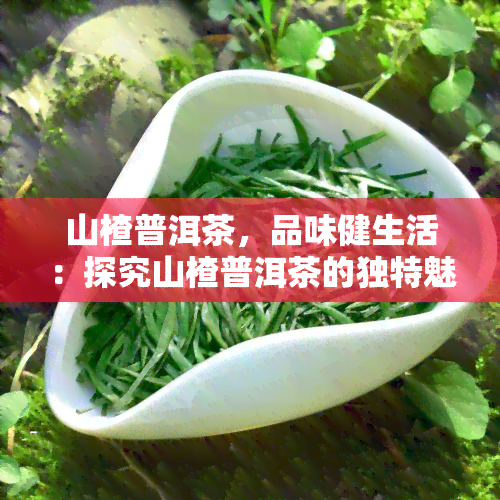 山楂普洱茶，品味健生活：探究山楂普洱茶的独特魅力