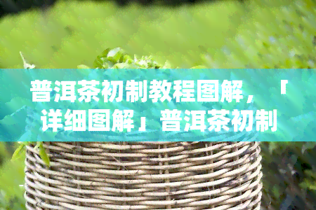 普洱茶初制教程图解，「详细图解」普洱茶初制教程：从叶到成品的全过程