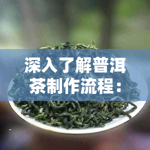 深入了解普洱茶制作流程：从叶采摘到熟茶发酵全过程详解