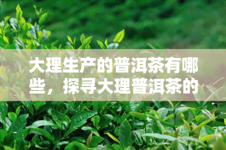 大理生产的普洱茶有哪些，探寻大理普洱茶的魅力：品种与产地全解析