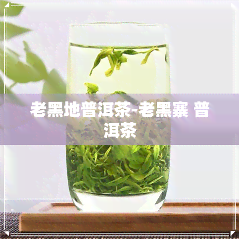 老黑地普洱茶-老黑寨 普洱茶