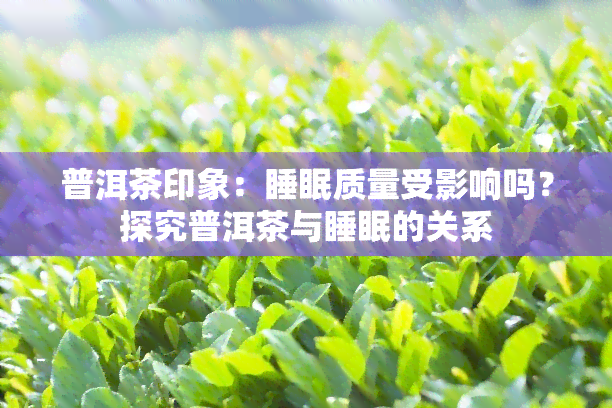 普洱茶印象：睡眠质量受影响吗？探究普洱茶与睡眠的关系