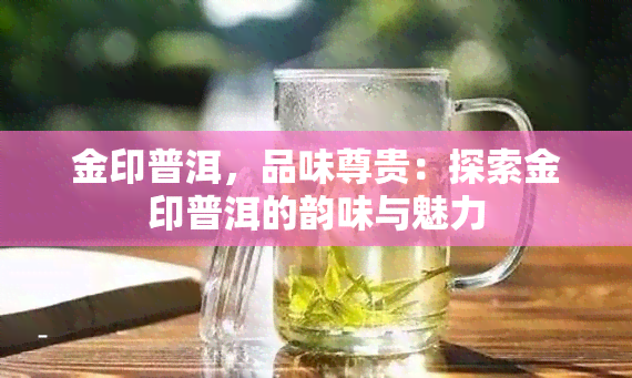 金印普洱，品味尊贵：探索金印普洱的韵味与魅力