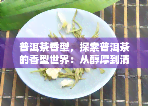 普洱茶香型，探索普洱茶的香型世界：从醇厚到清新，一探究竟