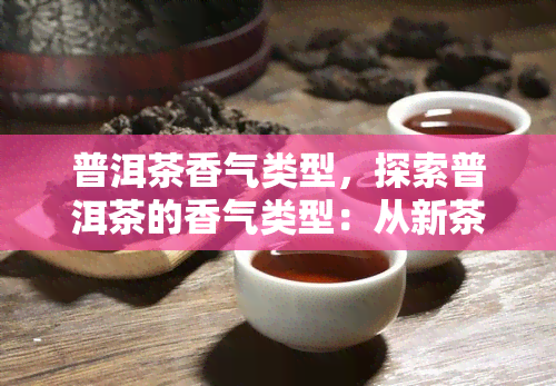 普洱茶香气类型，探索普洱茶的香气类型：从新茶到老茶的变化与特点