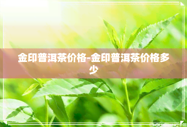 金印普洱茶价格-金印普洱茶价格多少