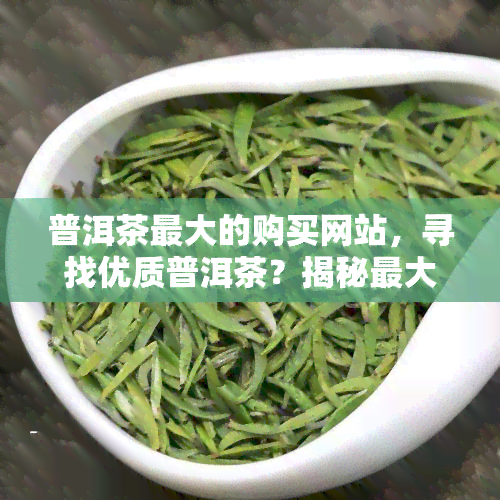 普洱茶更大的购买网站，寻找优质普洱茶？揭秘更大购买网站！