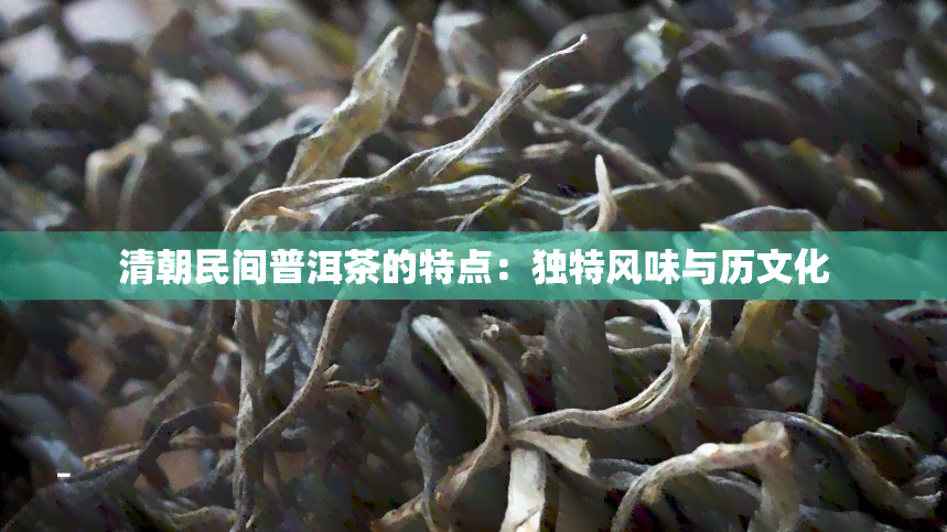 清朝民间普洱茶的特点：独特风味与历文化