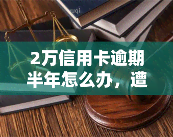 2万信用卡逾期半年怎么办，遭遇2万信用卡逾期半年的困境，应该如何解决？