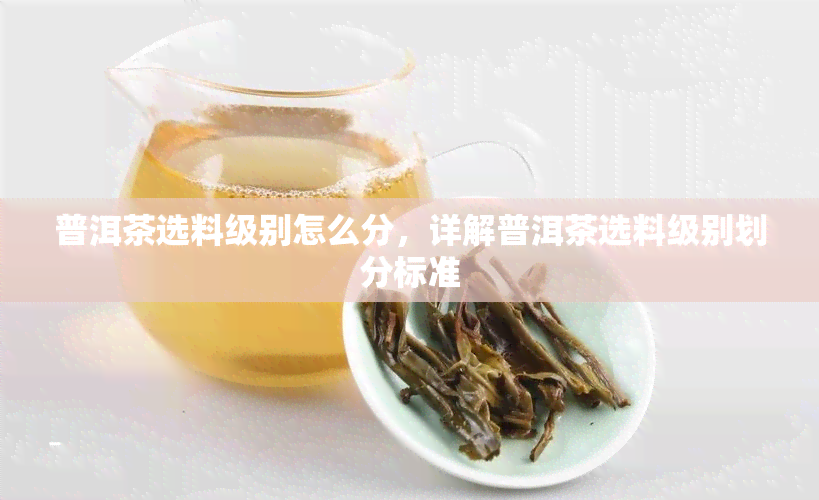 普洱茶选料级别怎么分，详解普洱茶选料级别划分标准