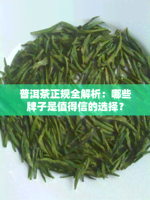 普洱茶正规全解析：哪些牌子是值得信的选择？