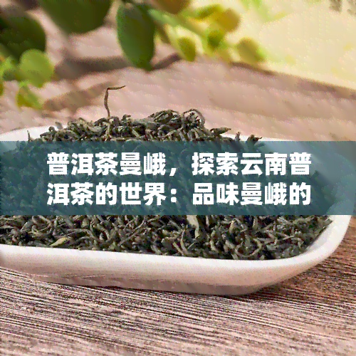 普洱茶曼峨，探索云南普洱茶的世界：品味曼峨的魅力