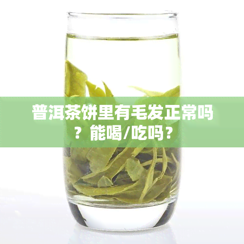 普洱茶饼里有毛发正常吗？能喝/吃吗？