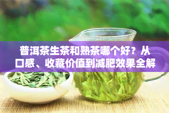 普洱茶生茶和熟茶哪个好？从口感、收藏价值到减肥效果全解析！