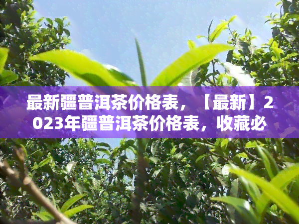 最新疆普洱茶价格表，【最新】2023年疆普洱茶价格表，收藏必备！