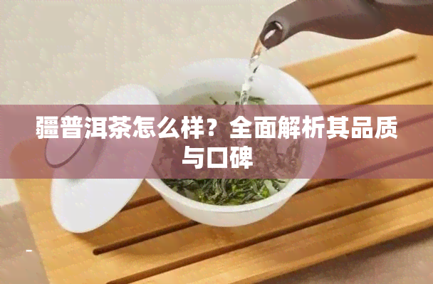 疆普洱茶怎么样？全面解析其品质与口碑