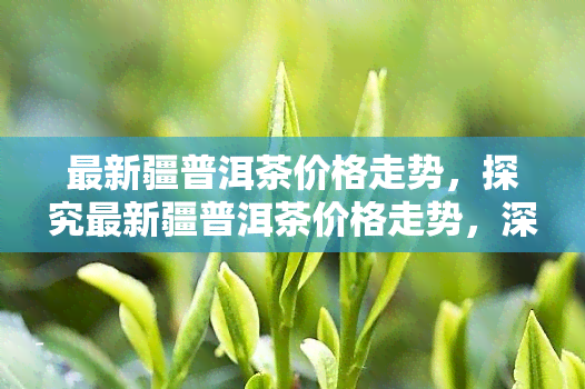 最新疆普洱茶价格走势，探究最新疆普洱茶价格走势，深度解析市场动态