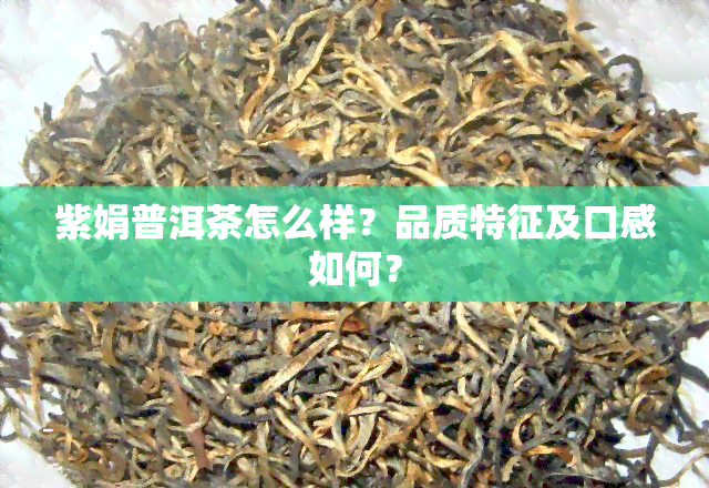 紫娟普洱茶怎么样？品质特征及口感如何？