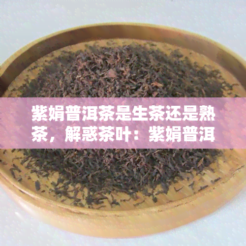 紫娟普洱茶是生茶还是熟茶，解惑茶叶：紫娟普洱茶是生茶还是熟茶？