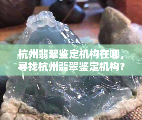 杭州翡翠鉴定机构在哪，寻找杭州翡翠鉴定机构？这里有你需要的答案！