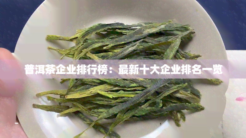 普洱茶企业排行榜：最新十大企业排名一览