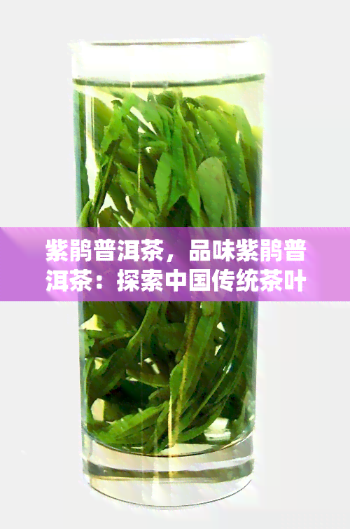 紫鹃普洱茶，品味紫鹃普洱茶：探索中国传统茶叶的韵味与魅力