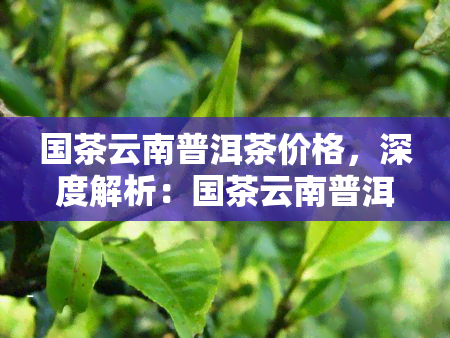 国茶云南普洱茶价格，深度解析：国茶云南普洱茶的价格走势与市场情况