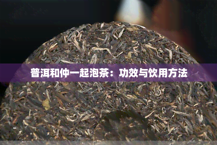 普洱和仲一起泡茶：功效与饮用方法